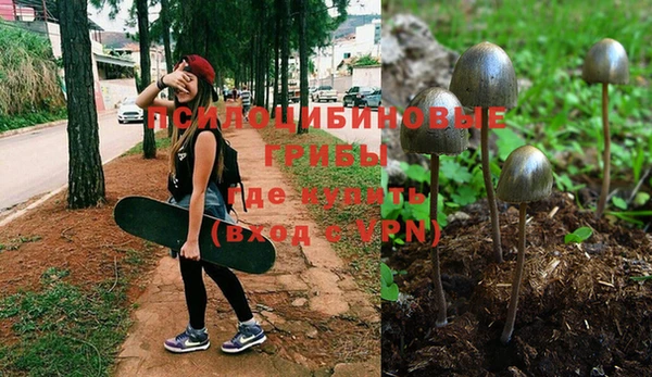 винт Бугульма