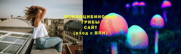 не бодяженный Бородино