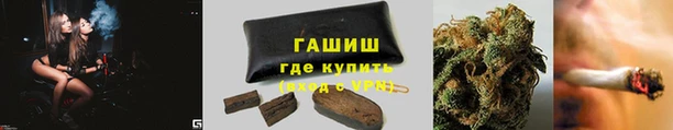 не бодяженный Бородино