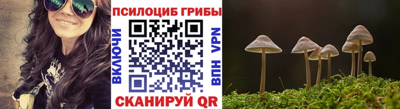 купить закладку  даркнет какой сайт  Псилоцибиновые грибы Psilocybine cubensis  Ростов-на-Дону 